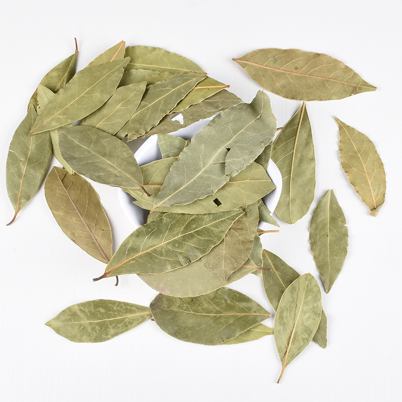 Home Cooking Classes - Pure Natural First-Class Dry Laurel Leaves