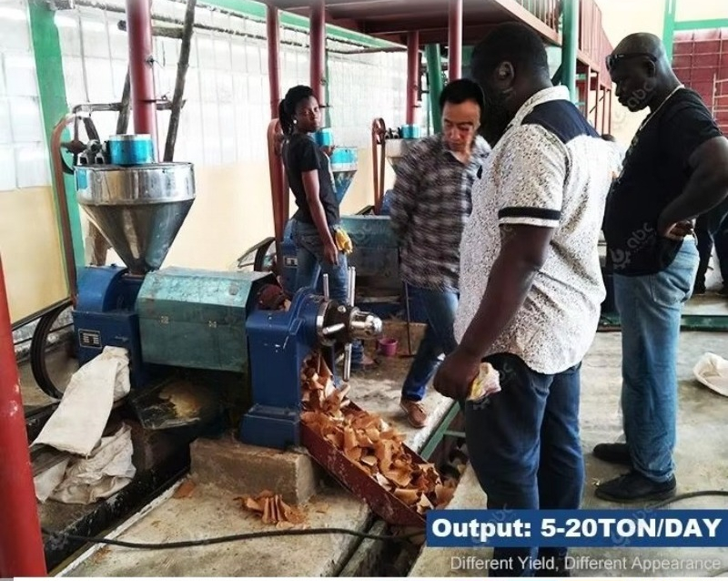Quality Assurance Cooking Sunf - Home Cooking Oil review and price